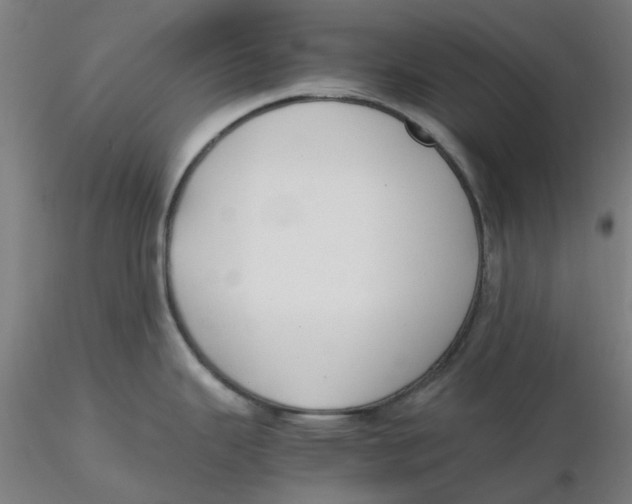 X0000116331343200912221412