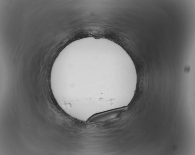 X0000116331345200912221411