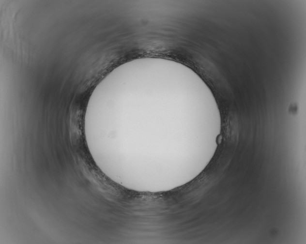 X0000116331346200912221411