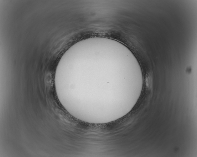 X0000116331347200912221411