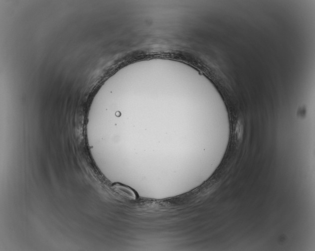 X0000116331348200912221411