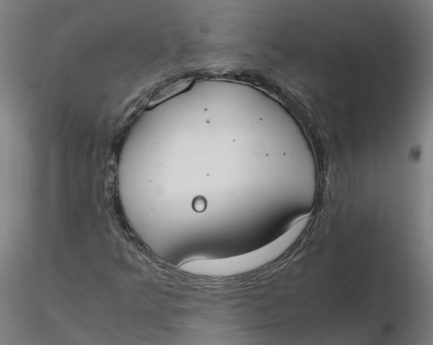 X0000116331349200912221411