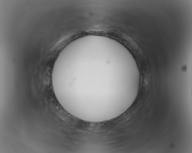 X0000116331350200912221411