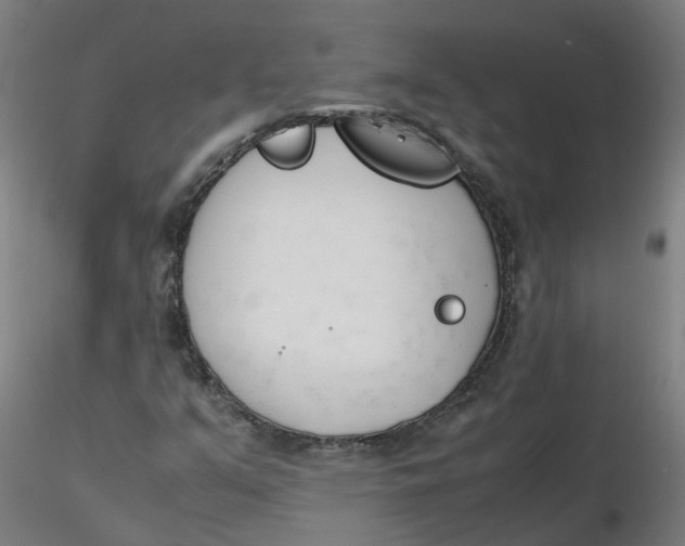 X0000116331351200912221411