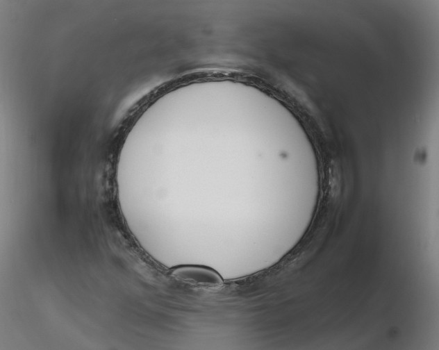 X0000116331352200912221411