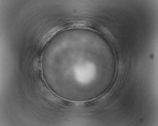 X0000116331353200912221411