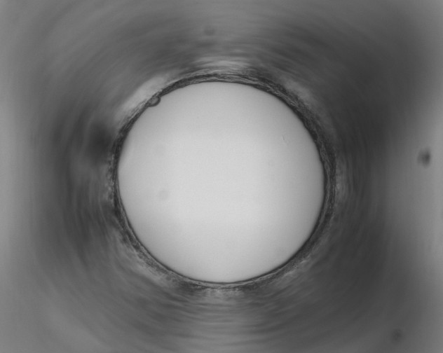 X0000116331354200912221411