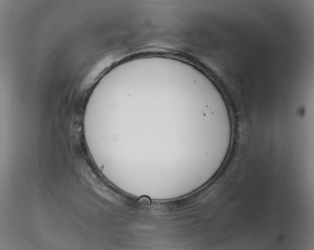 X0000116331355200912221411