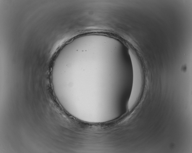 X0000116331357200912221411