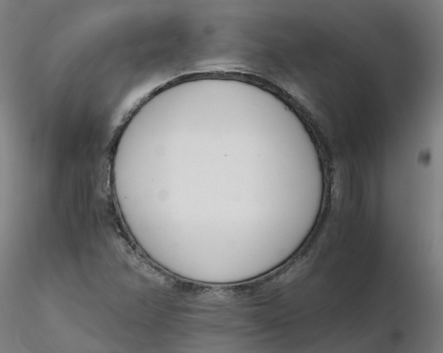 X0000116331358200912221411