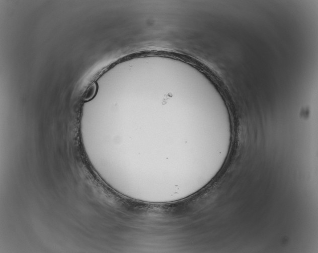 X0000116331359200912221411