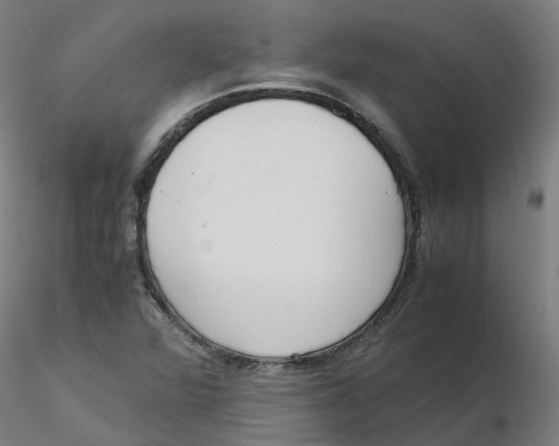 X0000116331360200912221411