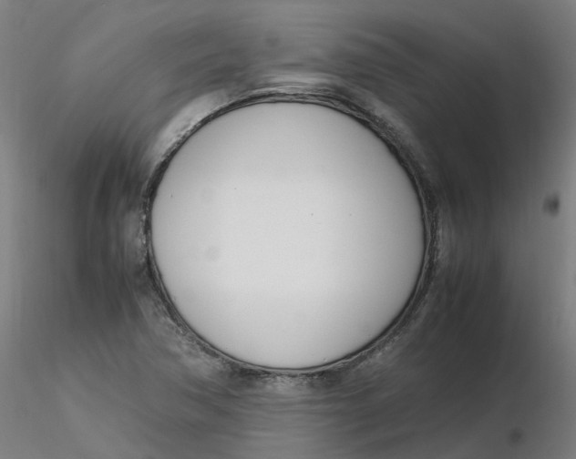 X0000116331362200912221411