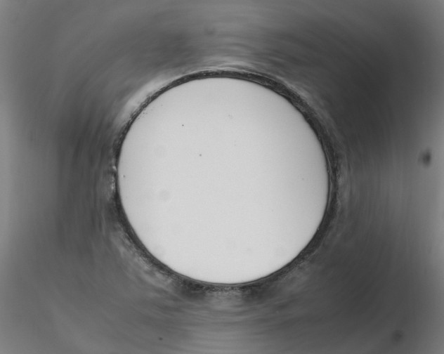 X0000116331363200912221411