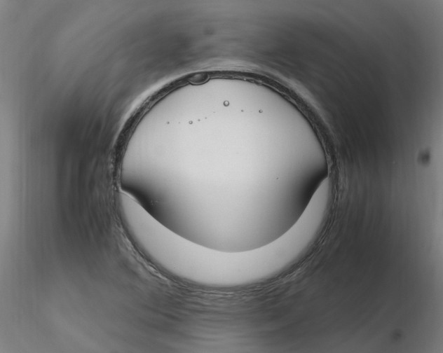 X0000116331364200912221411