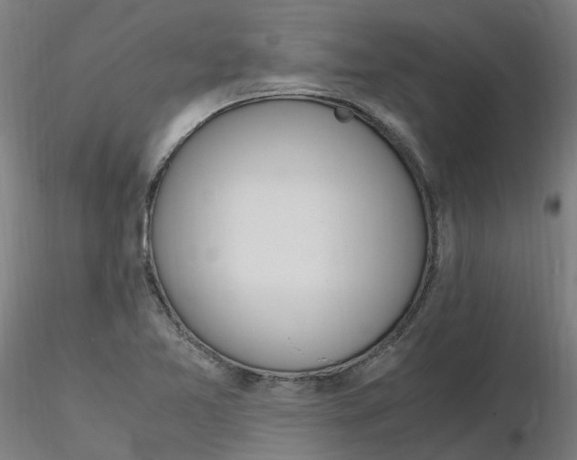 X0000116331365200912221411