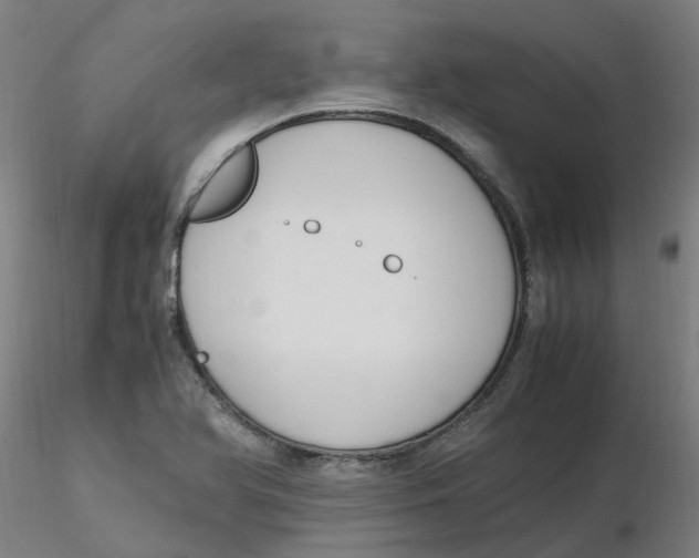 X0000116331366200912221411