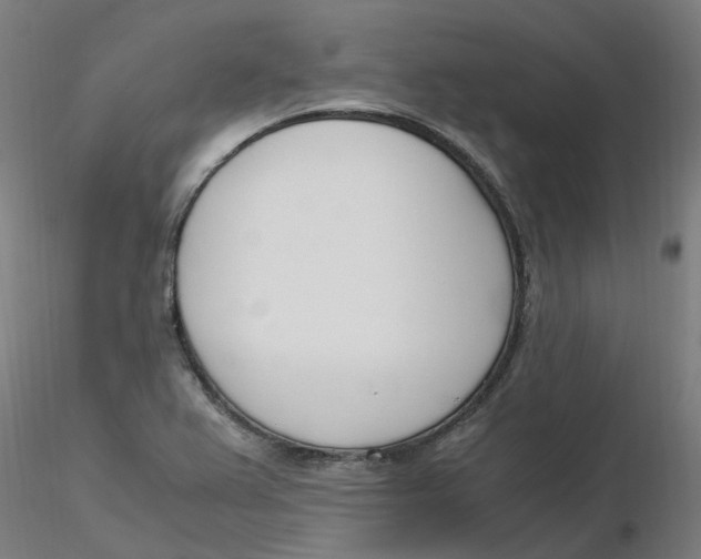 X0000116331367200912221411