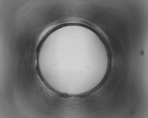 X0000116331368200912221411