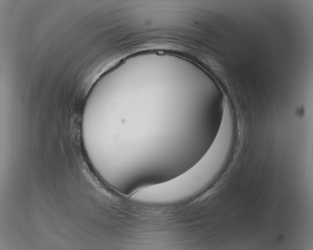 X0000116331369200912221411