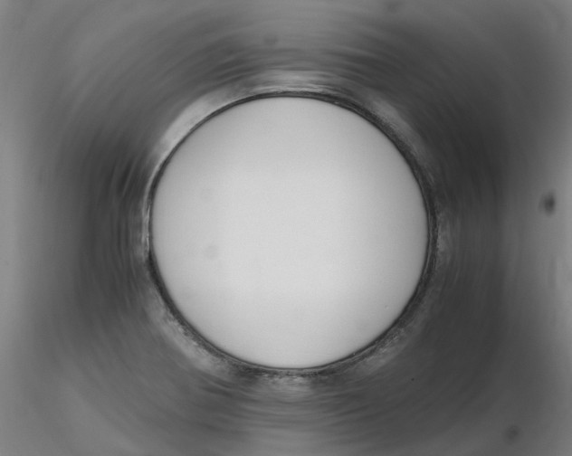 X0000116331370200912221411