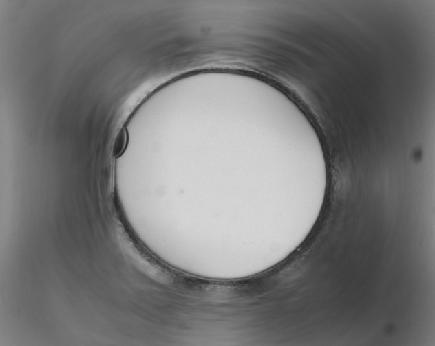 X0000116331371200912221411