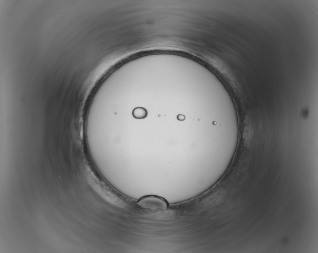 X0000116331372200912221411