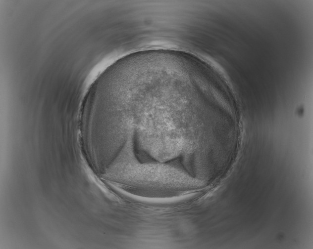 X0000116331373200912221411