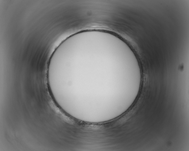 X0000116331374200912221411