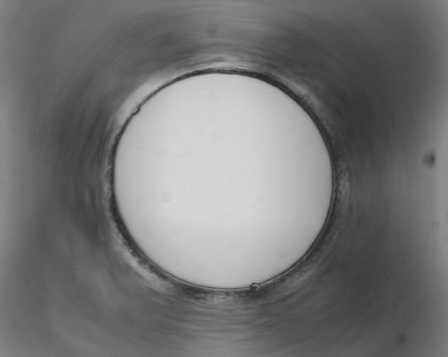 X0000116331375200912221411