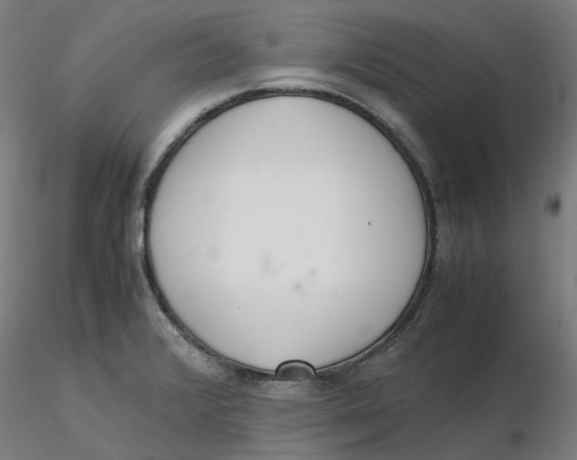 X0000116331376200912221411