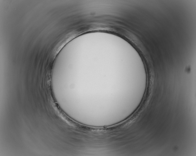 X0000116331377200912221411