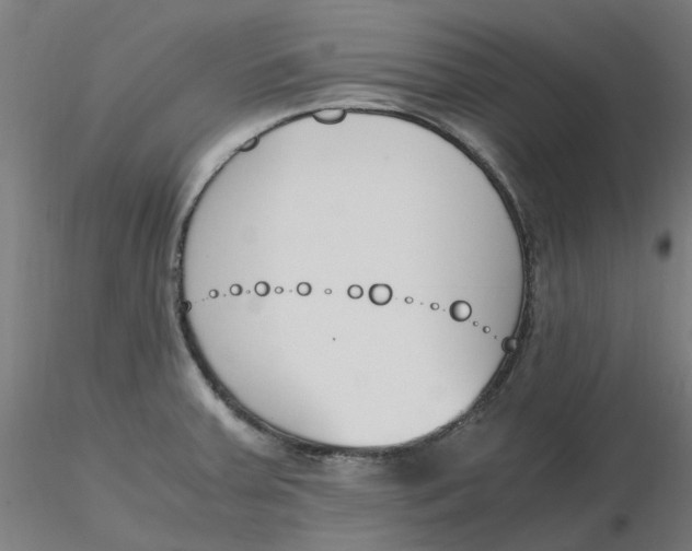 X0000116331379200912221411