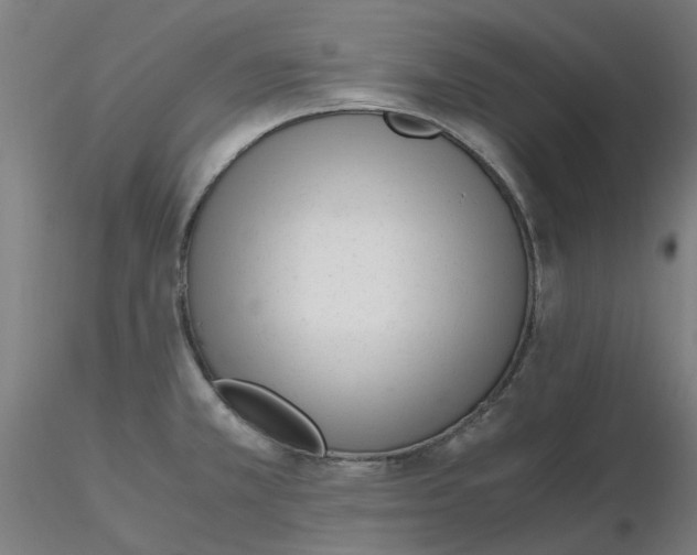 X0000116331381200912221411