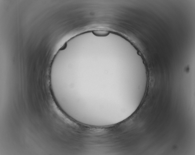 X0000116331382200912221411