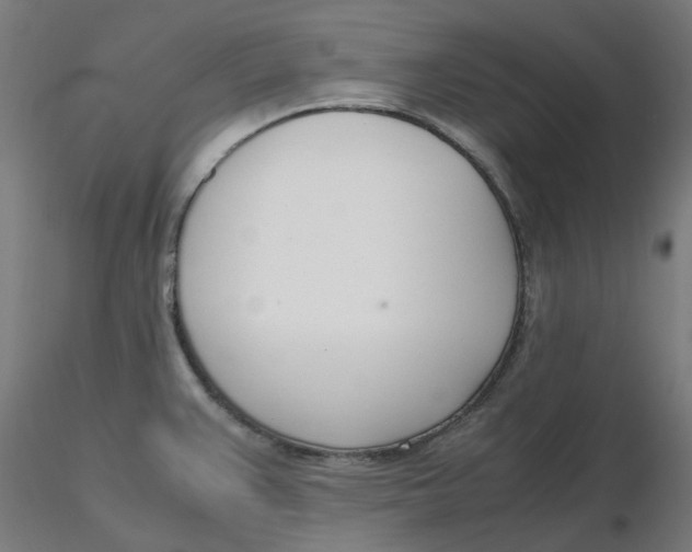 X0000116331383200912221411