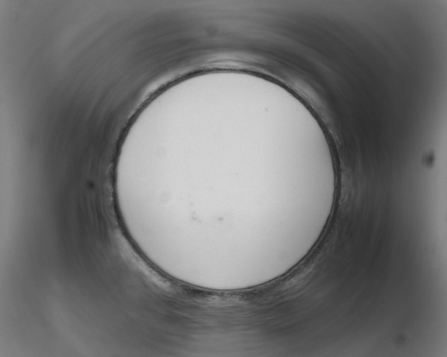 X0000116331384200912221411