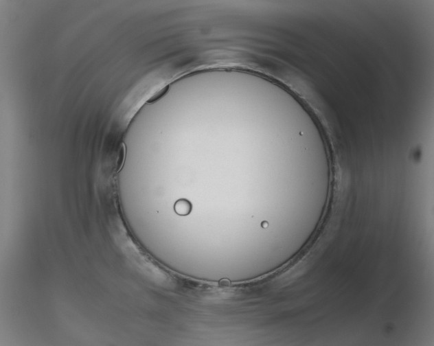 X0000116331385200912221411