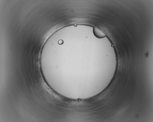 X0000116331386200912221411