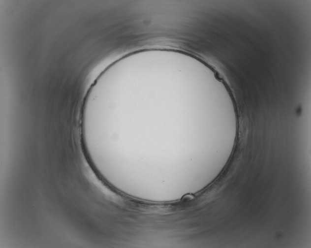 X0000116331387200912221411