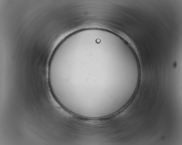 X0000116331388200912221411