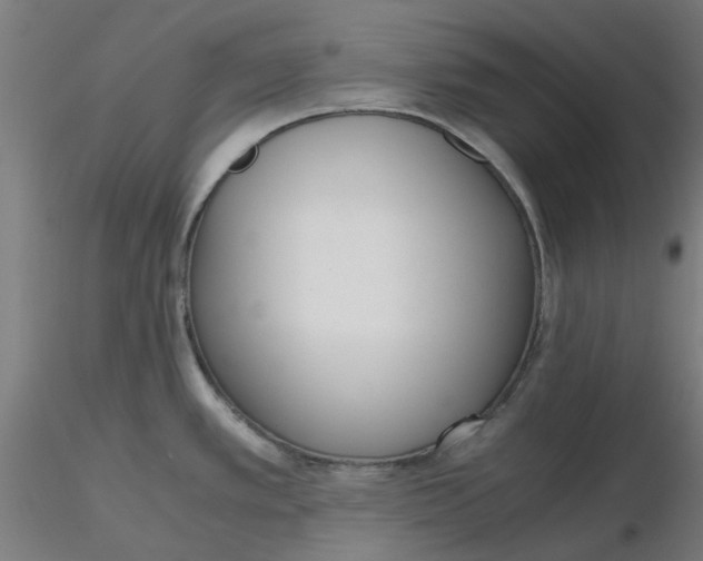 X0000116331389200912221411