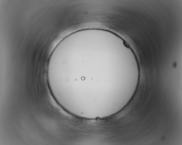 X0000116331390200912221411