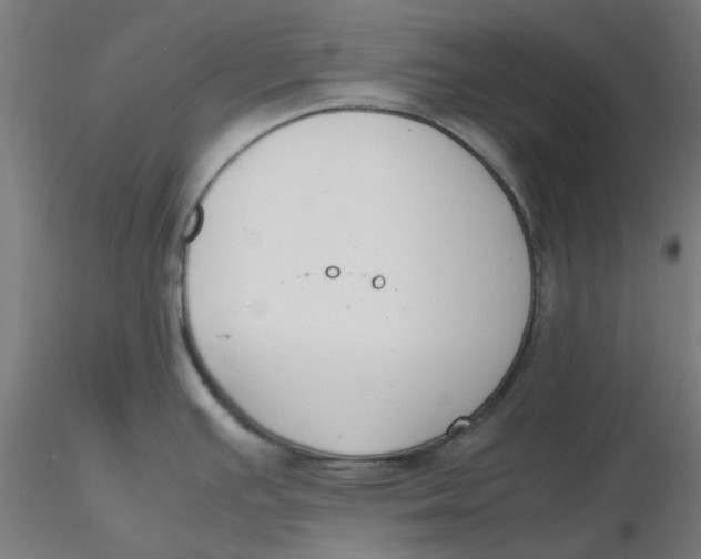 X0000116331391200912221411