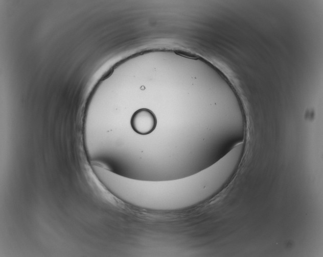 X0000116331392200912221411