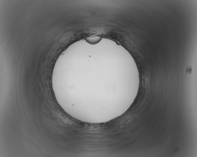 X0000116331393200912221410