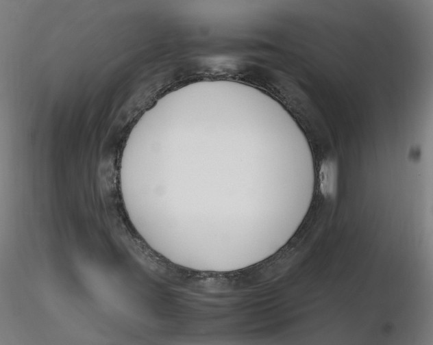 X0000116331395200912221410