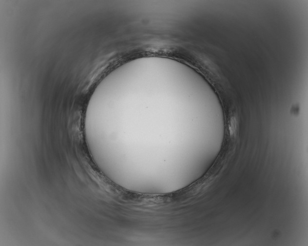 X0000116331396200912221410