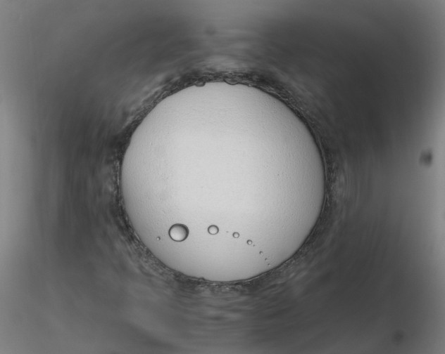 X0000116331397200912221410