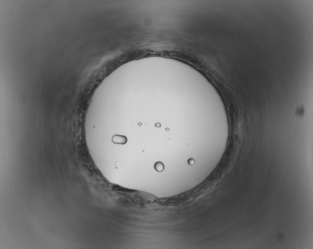 X0000116331398200912221410